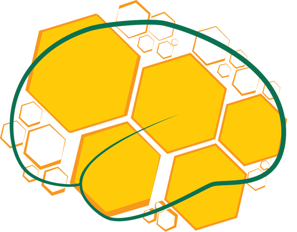 Brazilian Brain Bee